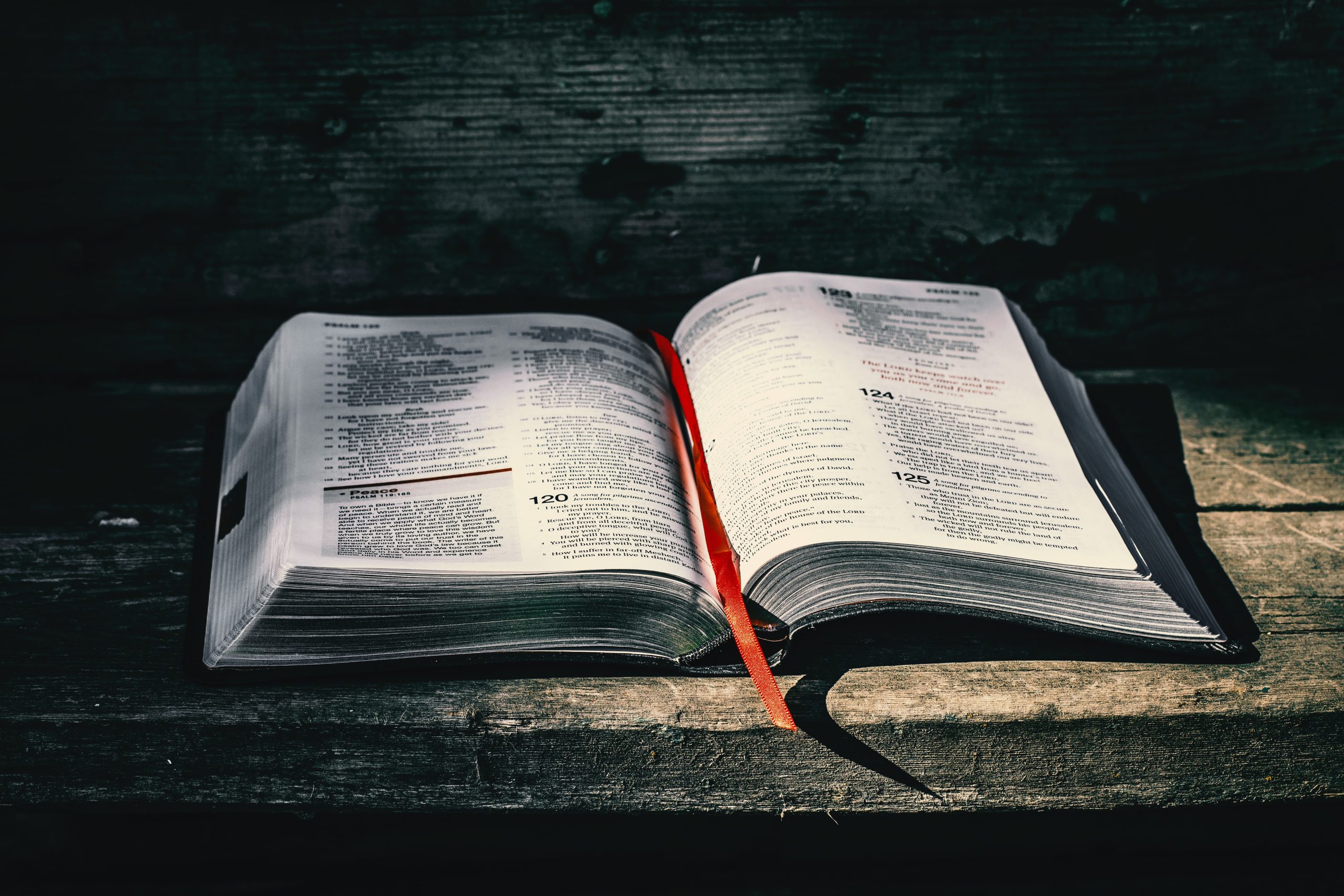 the bible holy book